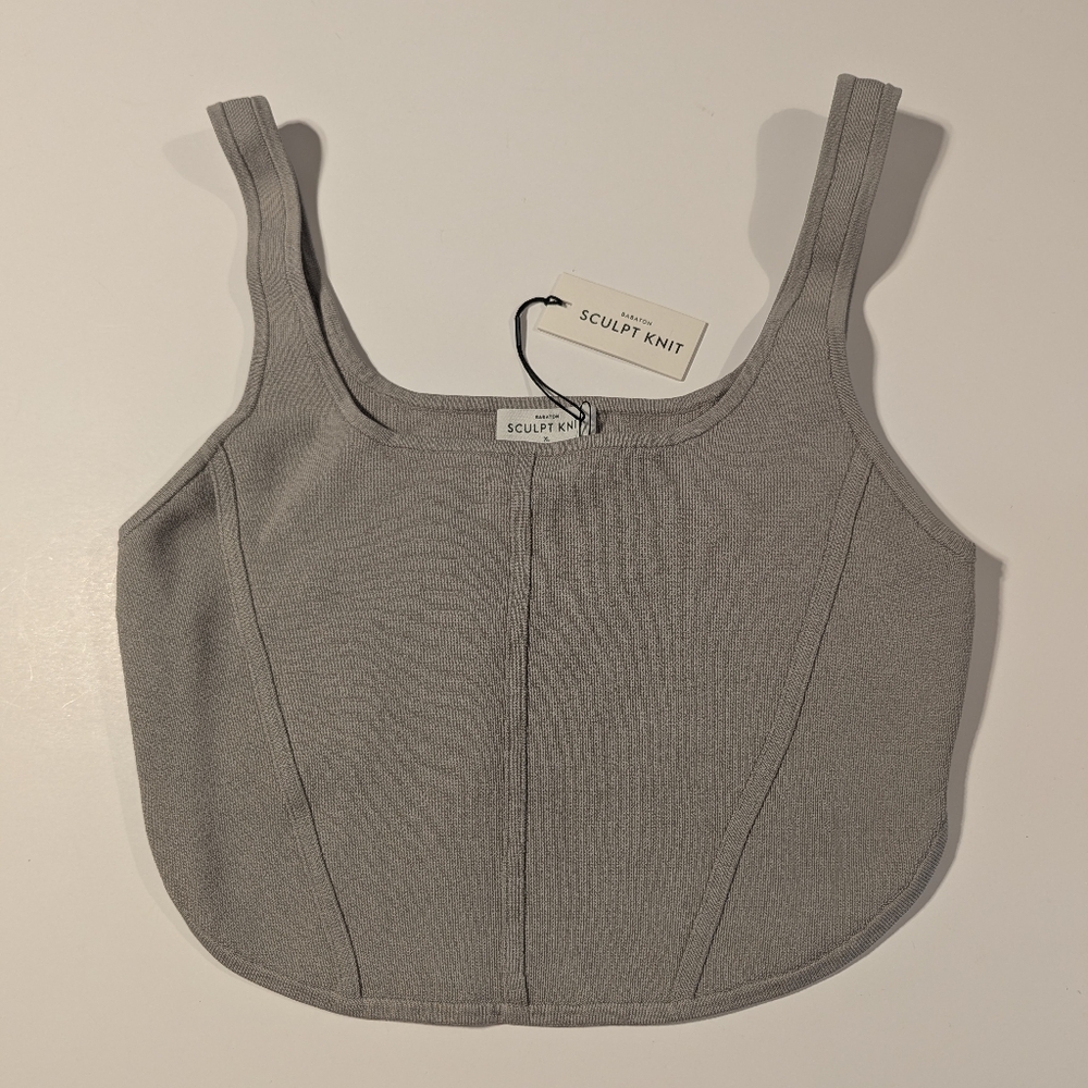 Aritzia Babaton Sculpt Knit Bustier Ashen Size XL